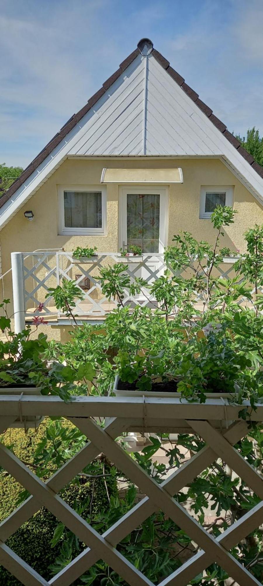 Patrik Apartman Lejlighed Siófok Eksteriør billede